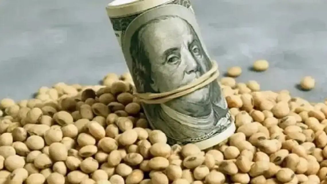 Generación de dólares para Argentina: “El agro va a ir perdiendo peso relativo como generador de divisas”