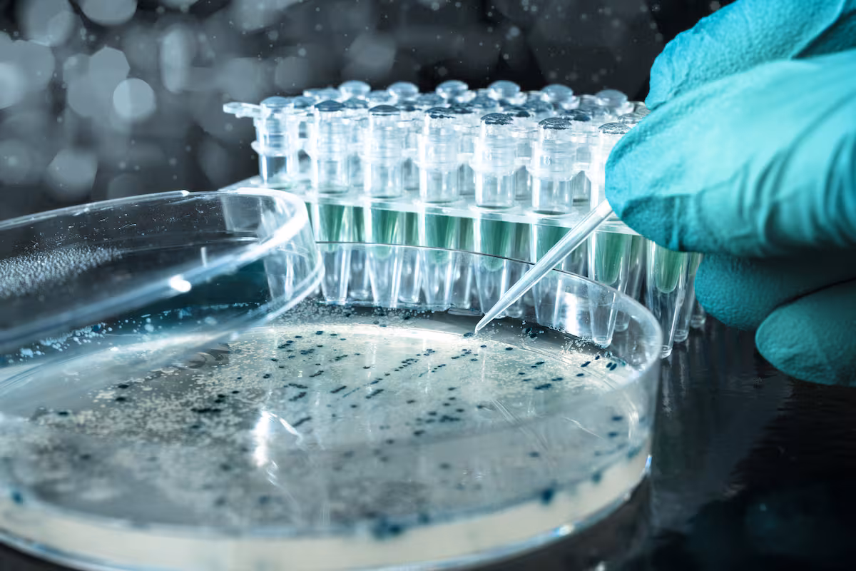 El Gobierno eliminó una traba de 25 años y prepara cambios para facilitar y fortalecer patentes para biotecnología agrícola