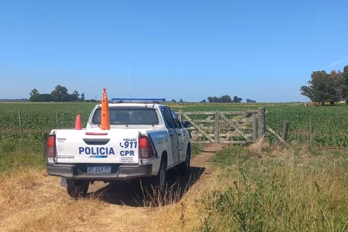 Le robaron 52 terneros valuados en unos US$50.000 y hay un dato que no logra explicar