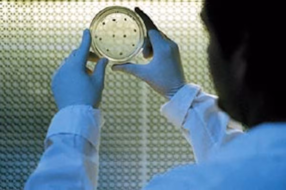Biotecnología: el Gobierno actualizó las reglas para aprobar microorganismos genéticamente modificados y fijó plazos de hasta 90 días para evaluarlos