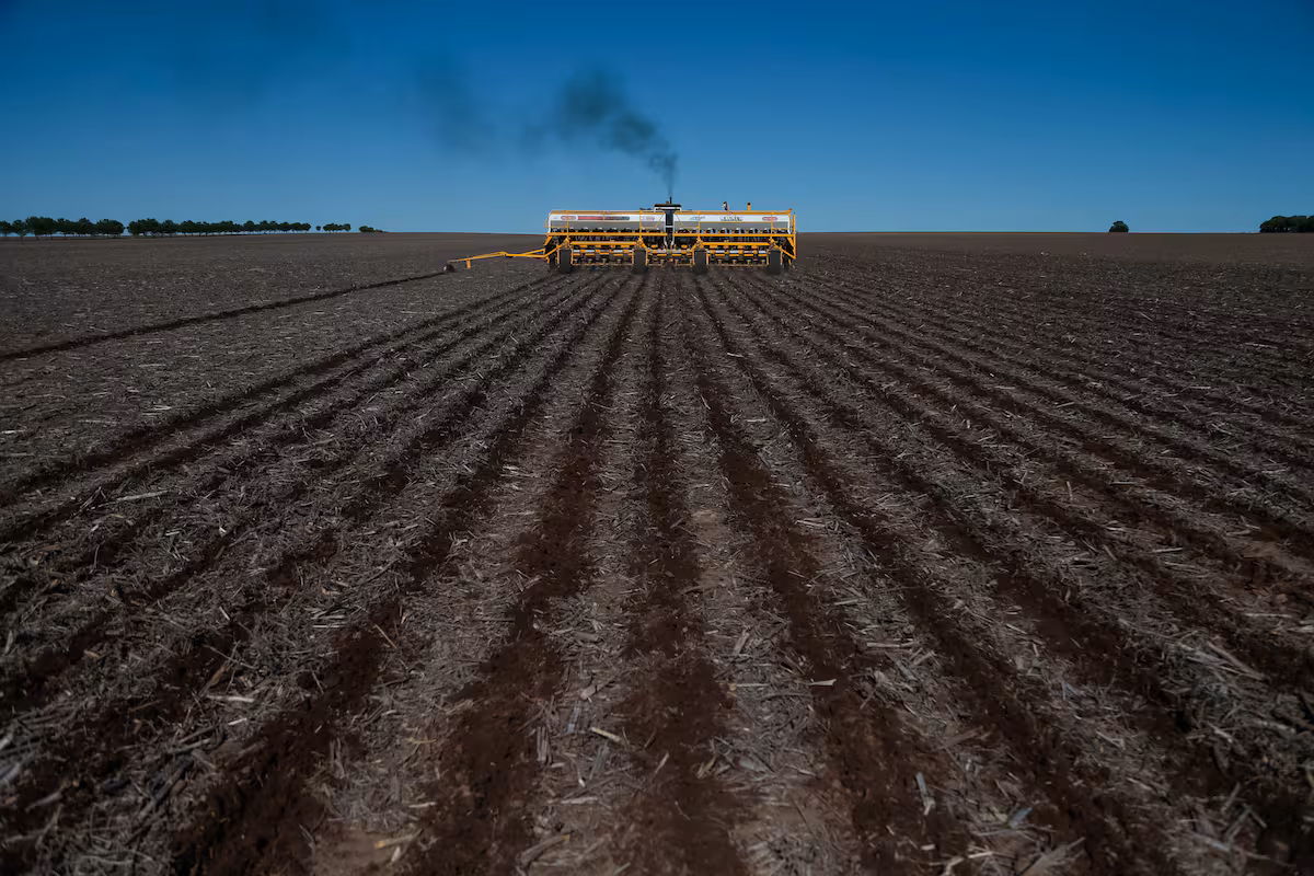 Fenómeno climático: se demora el final de la cosecha de soja y la siembra de trigo