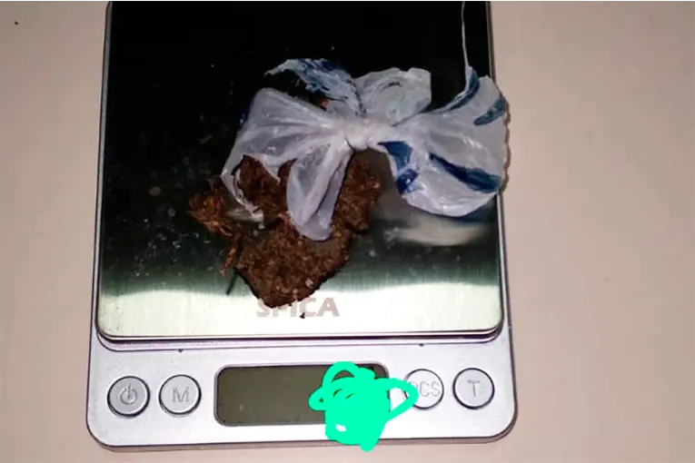 Hallaron marihuana en una escuela secundaria entrerriana