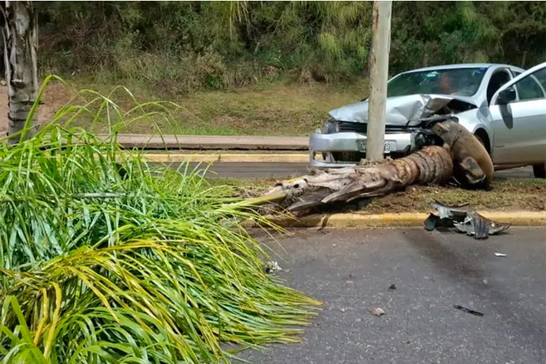 Conducía alcoholizado, perdió el control del auto y chocó contra una palmera