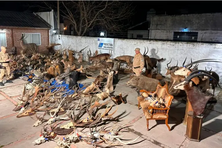 Allanaron un galpón vinculado a un coto de caza y secuestraron bienes por más de $1300 millones
