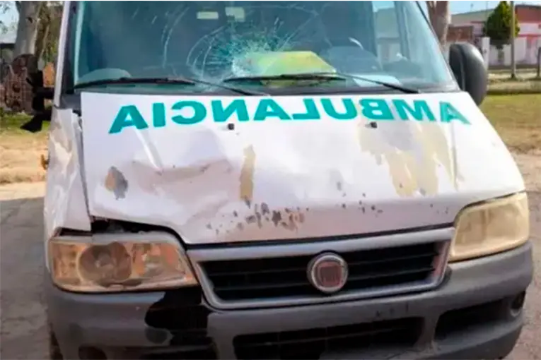 Ambulancia chocó un caballo suelto en la ruta: “No se hacen cargo”, afirmó intendente entrerriano