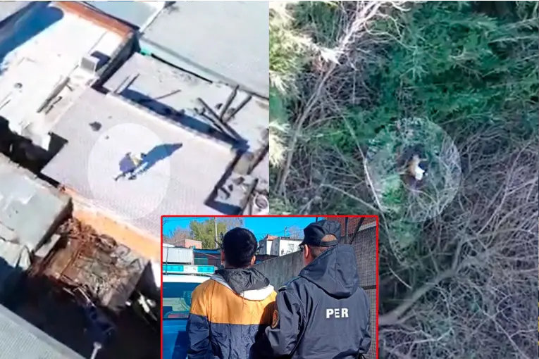 Video: drone siguió a un prófugo y permitió su captura tras una persecución en Paraná