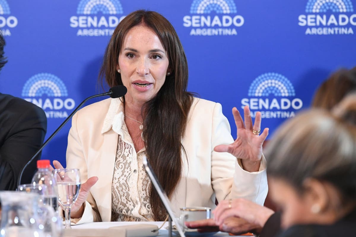 Tras el caso Michelli. El Gobierno abre una nueva etapa de designación de jueces y vuelve la tensión política al Senado