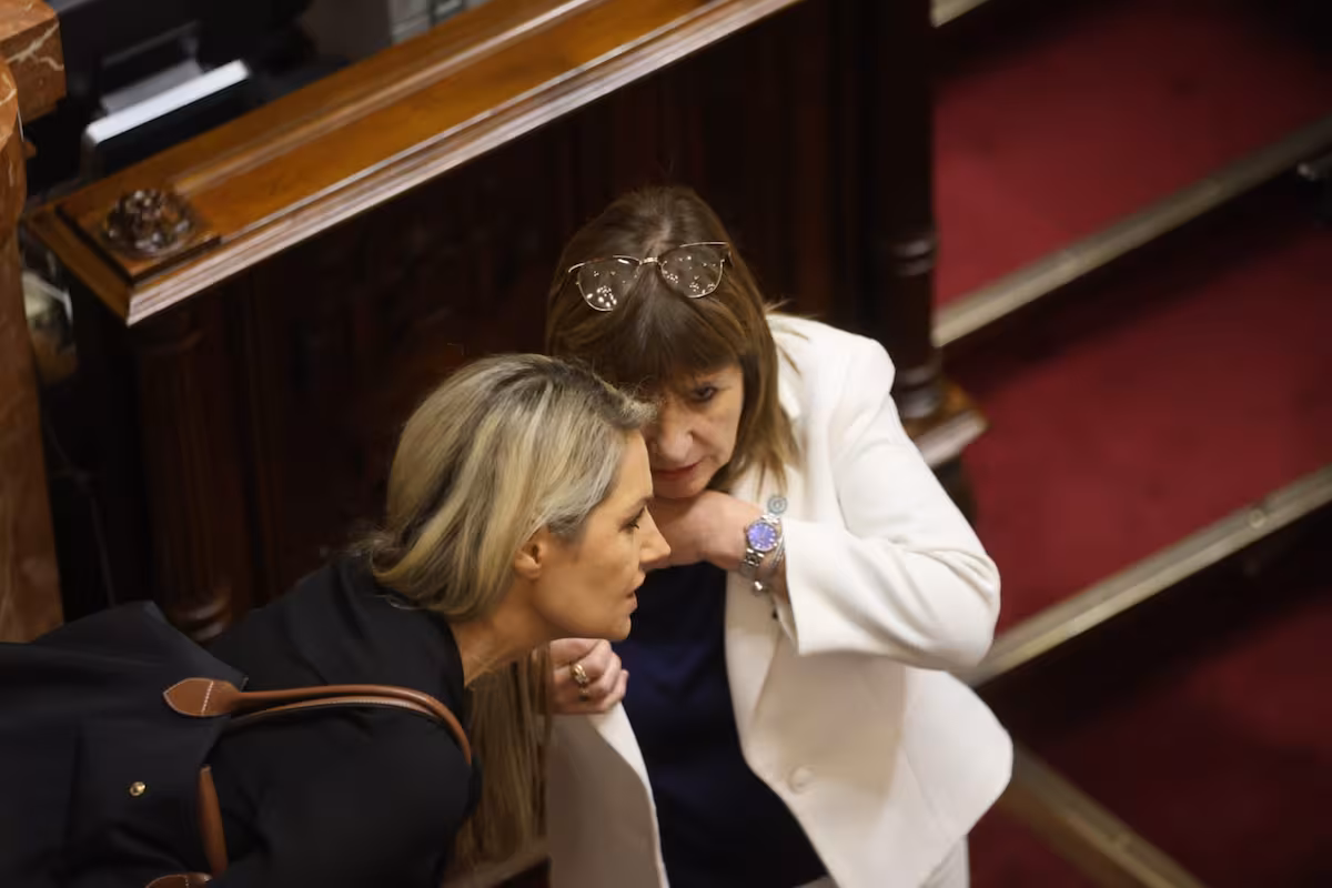 “Ecocidio”. Avanza en el Senado un polémico proyecto que prevé penas de hasta 25 años de prisión: lo apoyó Patricia Bullrich