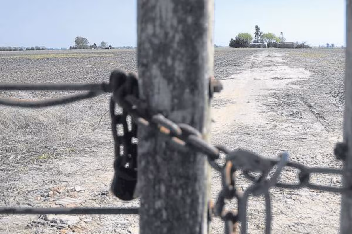 “Se llevaron todo”: denuncian robos comando en campos y una reaparición del abigeato