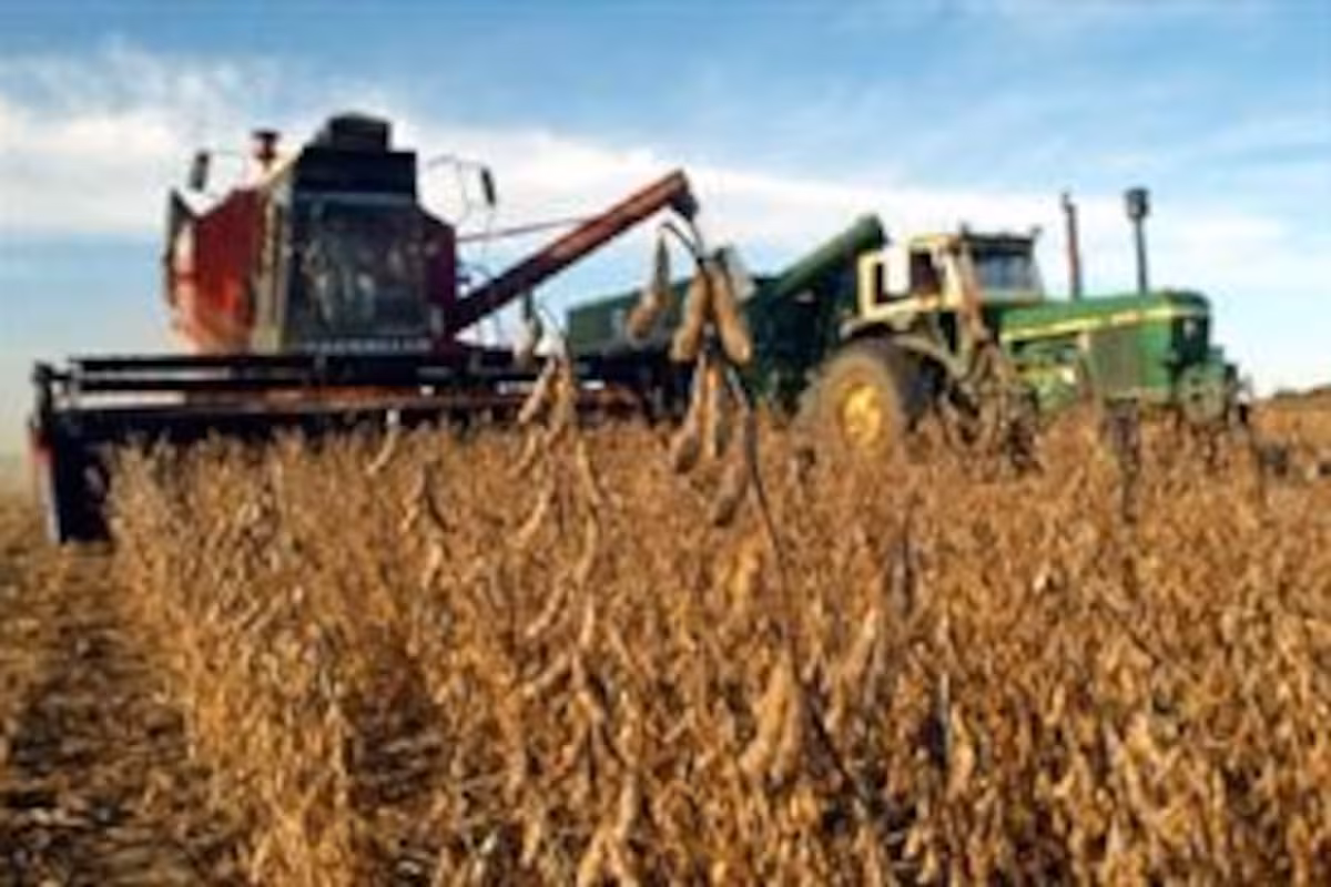 Subió US$7,44: se disparó el precio de la soja en el mercado internacional por un combo de factores gravitantes