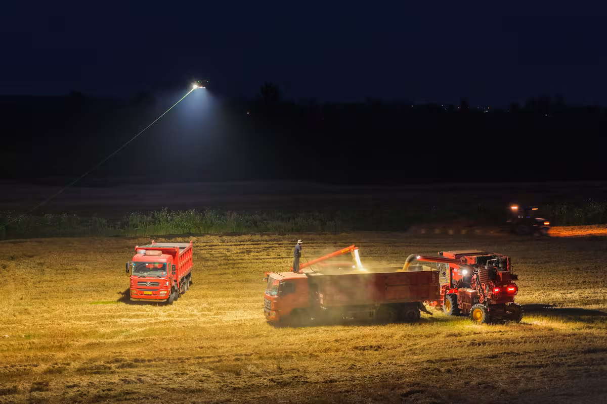 En China usan drones con una potente luz para iluminar la cosecha en plena noche