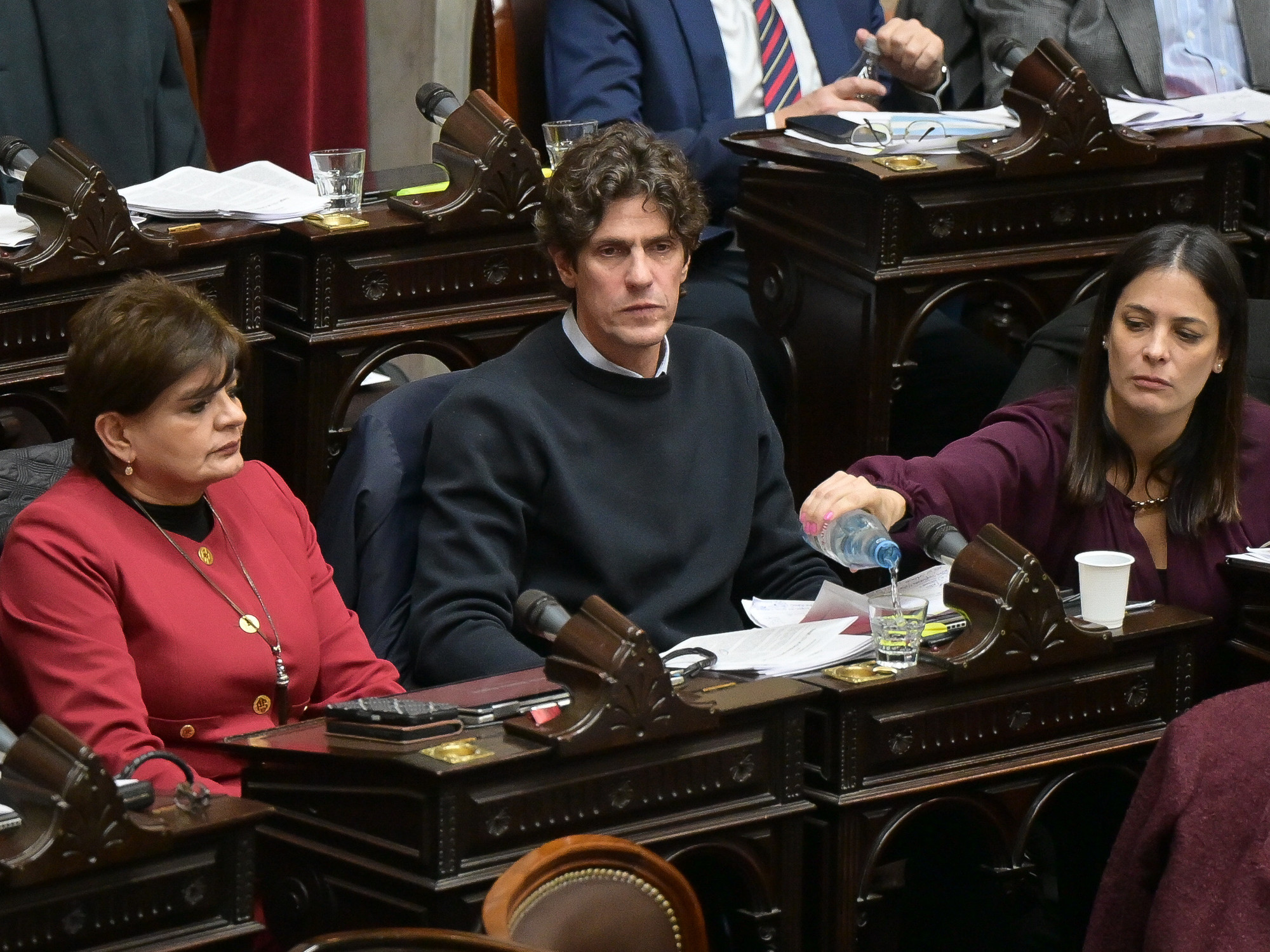 Diputados: los radicales de Provincias Unidas le exigen al Comité y a Menem que le quiten el sello partidario al bloque UCR