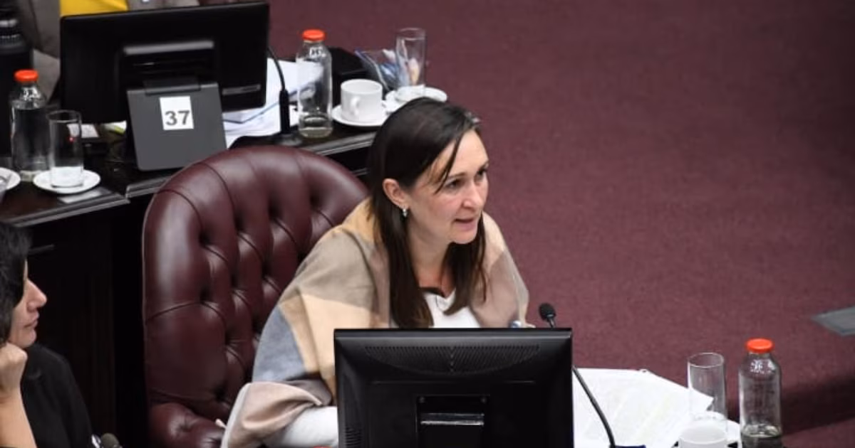 Dolor por la repentina muerte de una diputada de San Luis a los 46 años