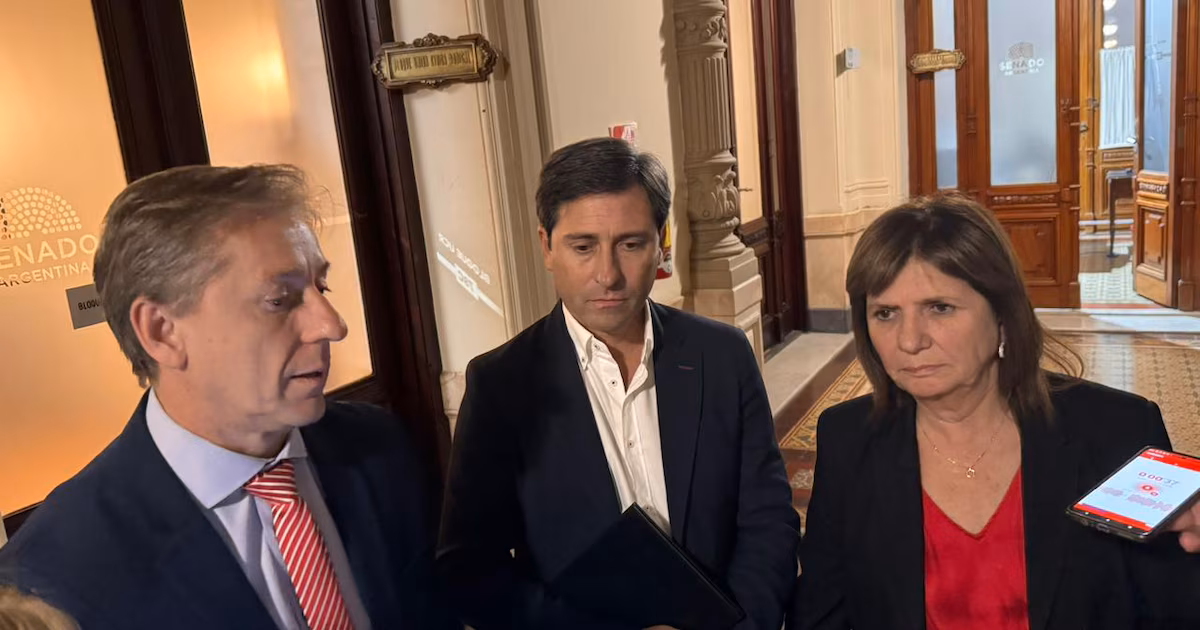La UCR nacional se opone a la Ley de Tierras y les pidió a los senadores que voten en contra