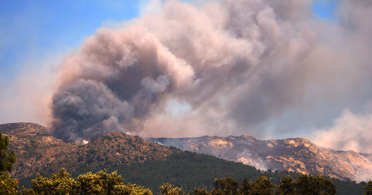 Más de 200.000 personas huyeron de los devastadores incendios forestales en Francia y EspañaAmbos gobiernos pidieron ayuda a otros miembros de la Unión Europea para apaciguar el impacto de las llamas. Las autoridades francesas creen que los incendios en su territorio fueron accidentales