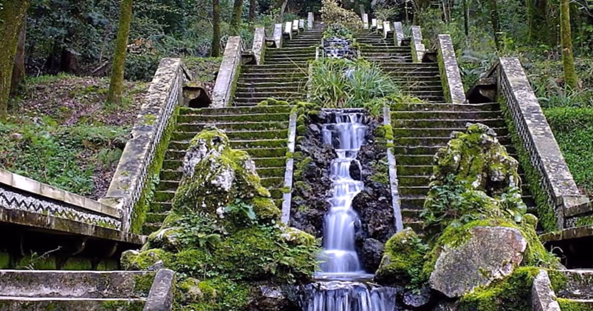 El “bosque que cura” está en Portugal y es el único de su tipo en toda la Península IbéricaLa Mata Nacional de Bussaco recibió la certificación oficial el 17 de julio y se convierte en uno de los cuatro bosques terapéuticos del mundo, con capacidad para tratar enfermedades cardiovasculares, neurológicas y psicosomáticas. La autentificación tiene validez hasta 2031