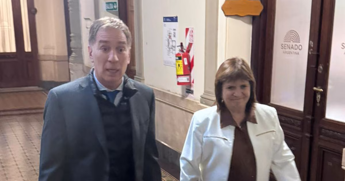 Santilli pidió 15 días para destrabar votos y conseguir la reforma electoral y cambios en zonas frías