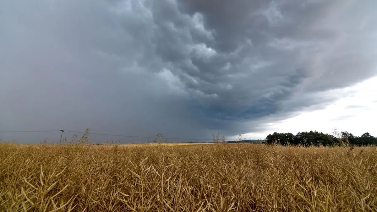 El Gobierno aprobó un plan federal para coordinar la respuesta ante el fenómeno El Niño