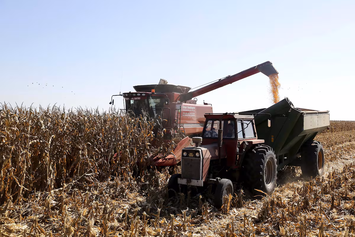 “Comportamiento irregular”: tras el envión de las exposiciones, la venta de maquinaria agrícola frenó en junio y el semestre quedó levemente por debajo de 2025