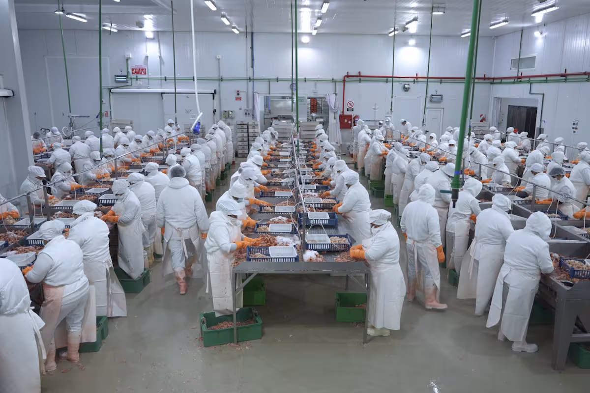 “Enorme esfuerzo”: la pesca superó los US$1000 millones en exportaciones y creció casi un 23% en divisas