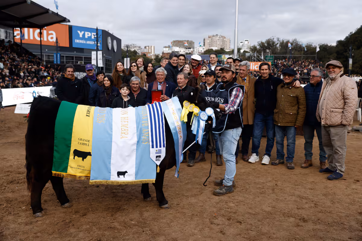“La llave de la ganadería argentina”: Hereford en machos y Angus en hembras consagraron a sus grandes campeones en una jornada de alto nivel genético