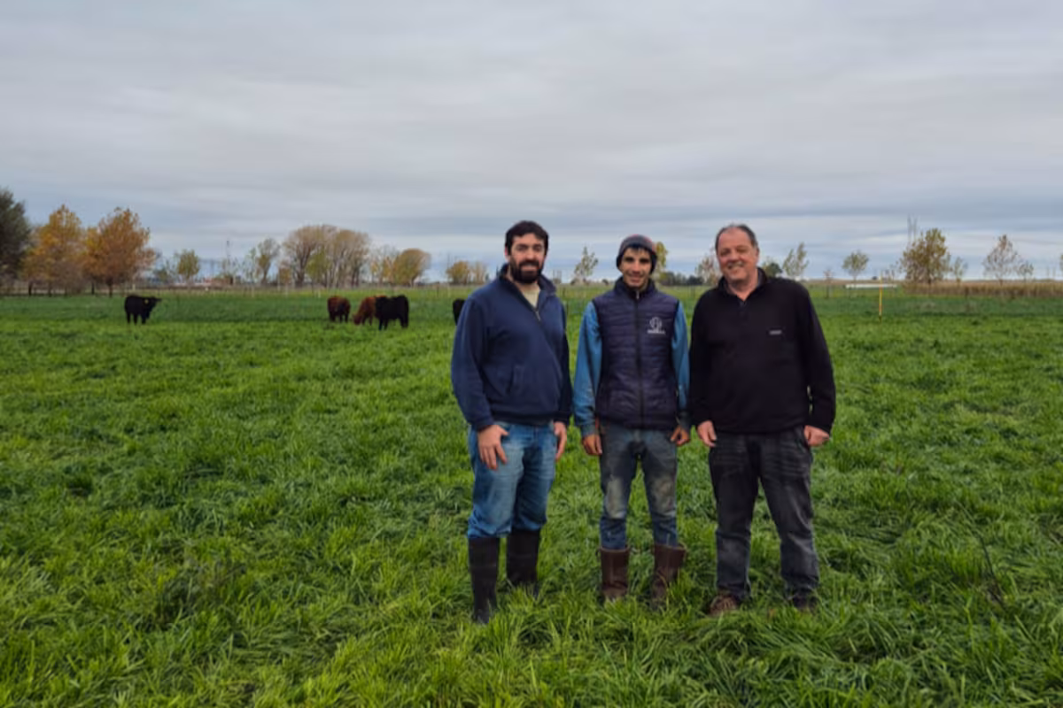 En un campo produjeron un 70,8% más de carne con una abrupta caída de la huella ambiental y el caso abre la puerta a un mercado digital