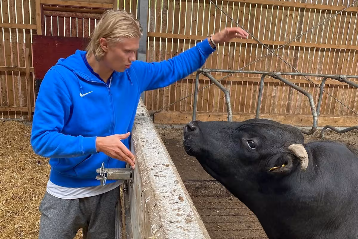 Del héroe ante Brasil al sueño rural: Haaland quiere ser “el mejor agricultor” de Noruega