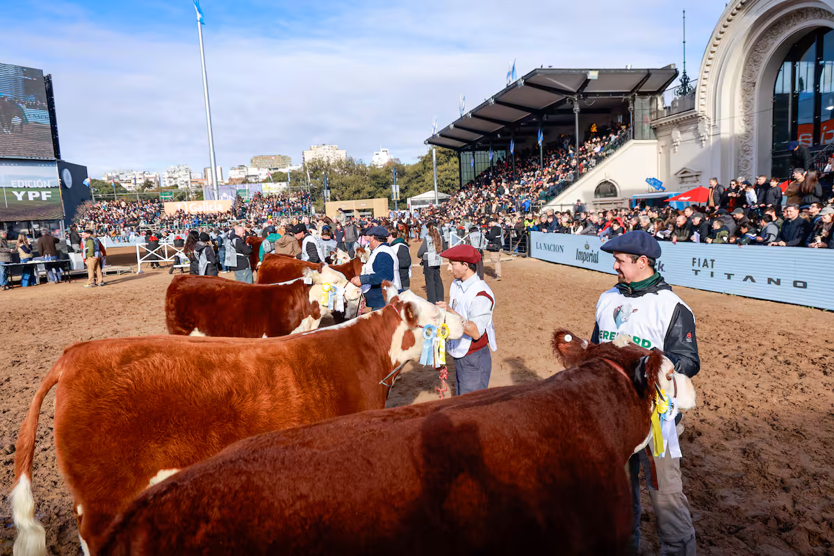 Exposición Rural: el tren de la ganadería está en marcha y puede acelerar