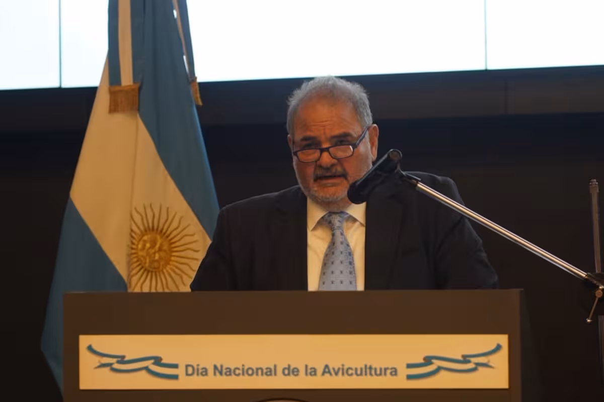 Negocio avícola: reclaman apoyo político para reabrir China y avanzar con una baja de impuestos