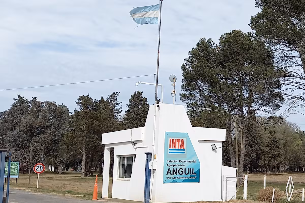 “Excede lo presupuestario”: exautoridades del INTA hablaron de una importante pérdida en el organismo