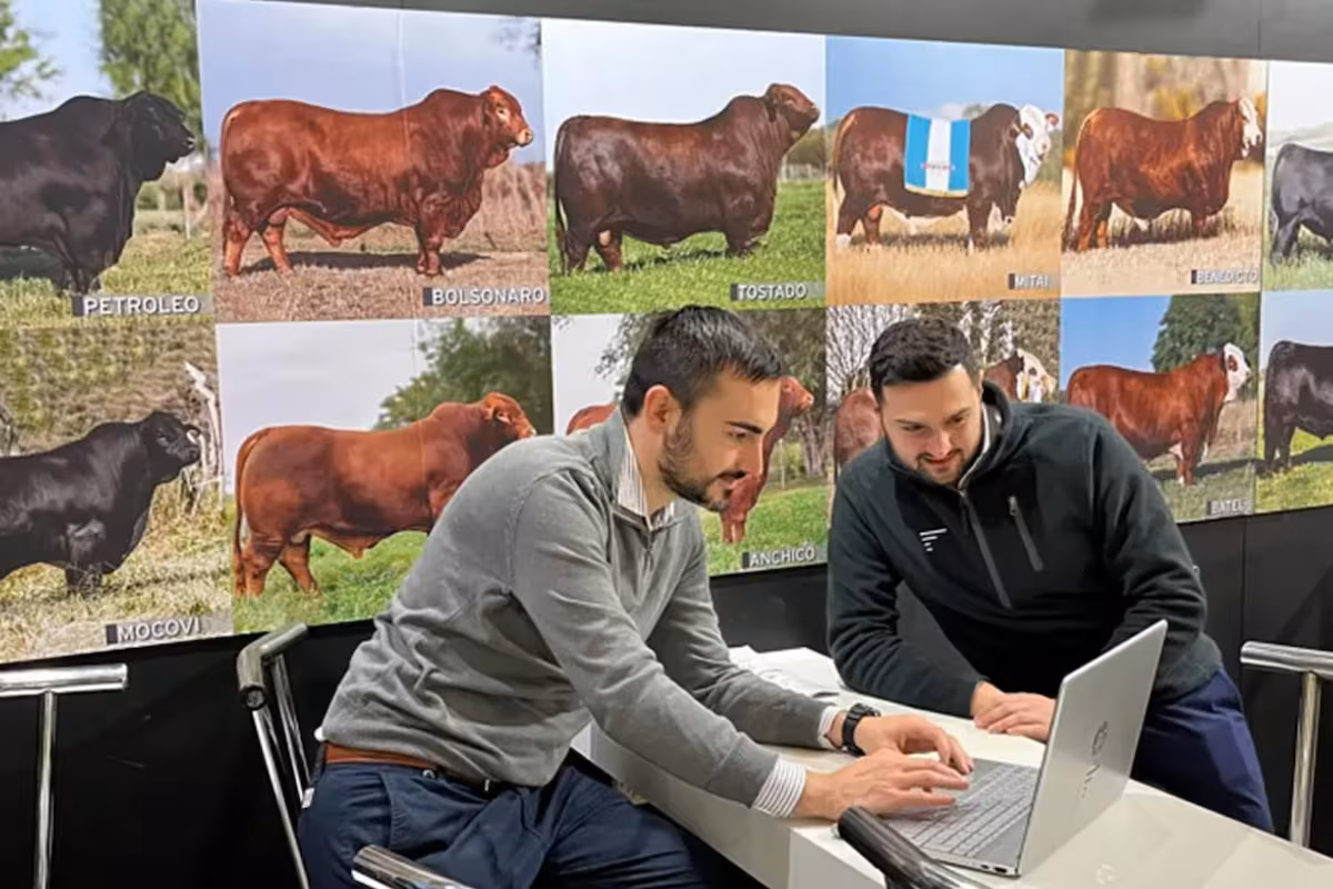 Recibieron un llamado desde España y todo cambió para un proyecto que tiene 100.000 animales digitalizados
