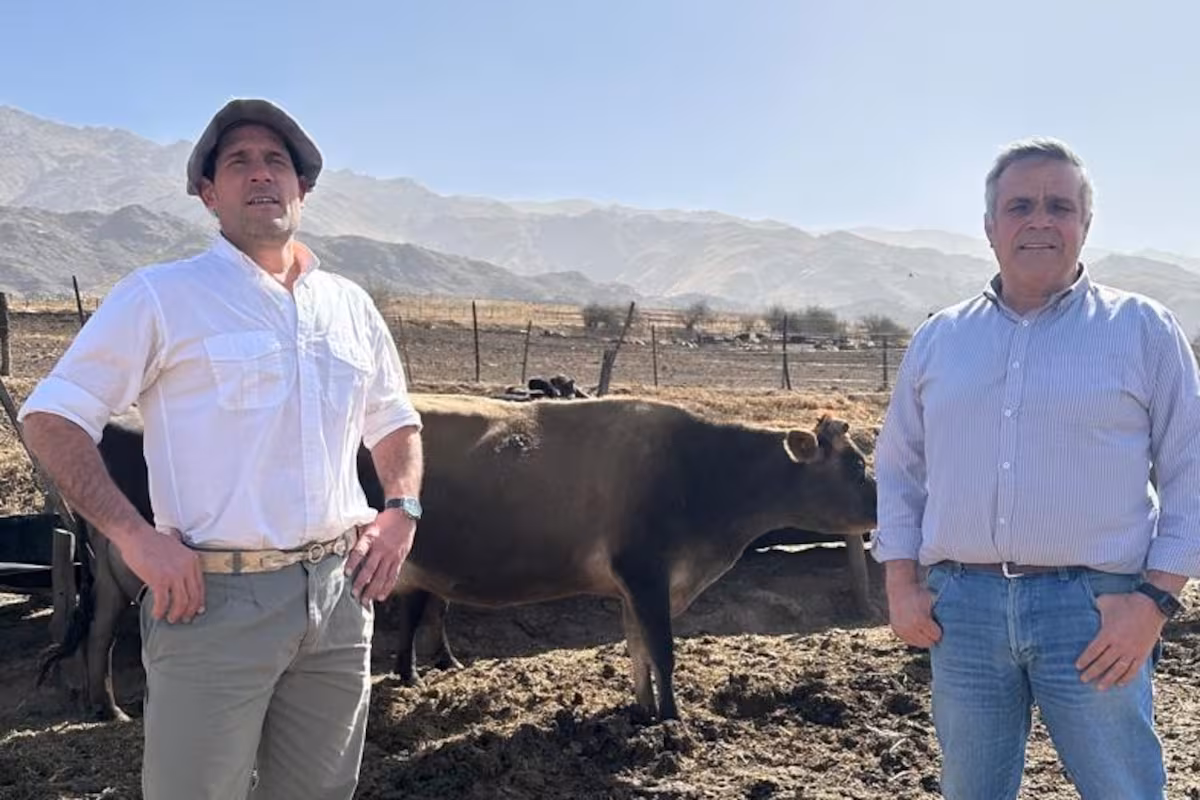 Una tradicional estancia se puso a faenar 1000 animales para vender carne al público
