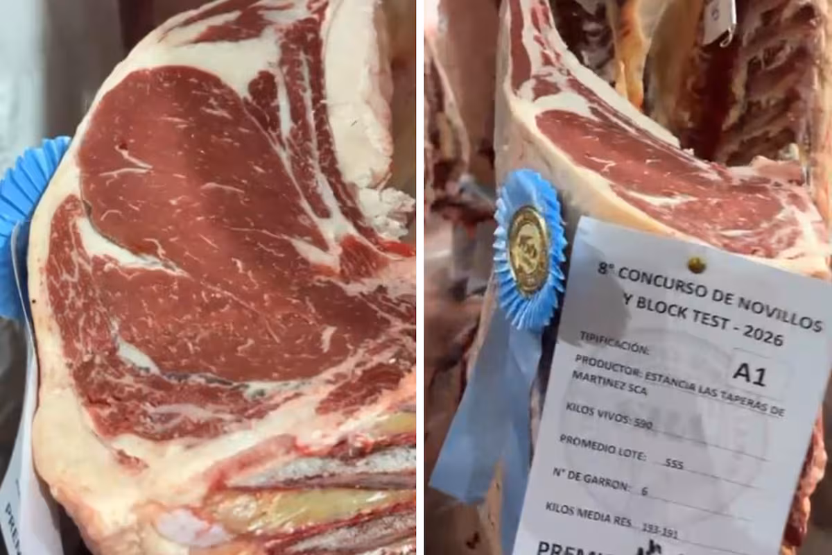 Cumple 60 años la entidad de una raza francesa que tiene en su carne un espectacular atributo