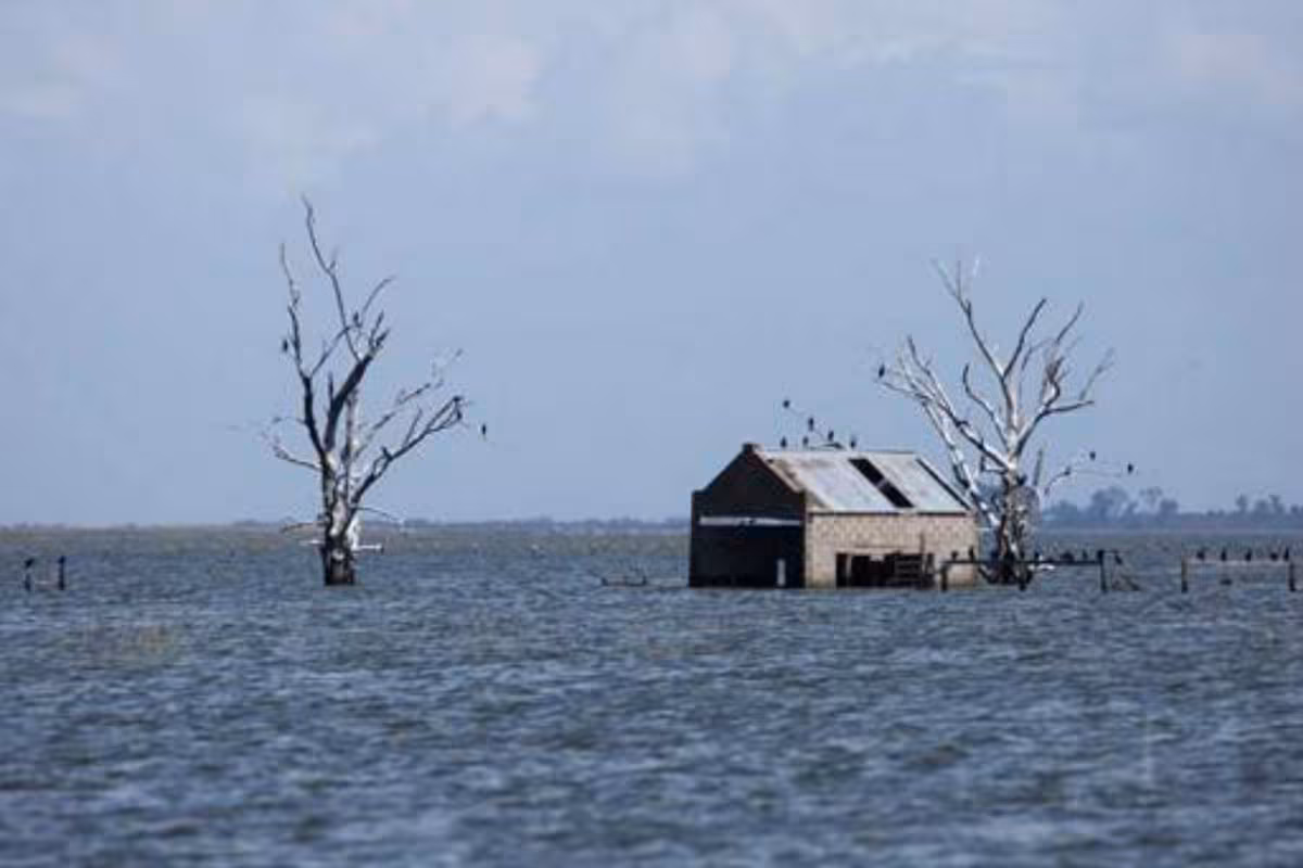 Ante pronósticos de El Niño, proponen tomar medidas preventivas