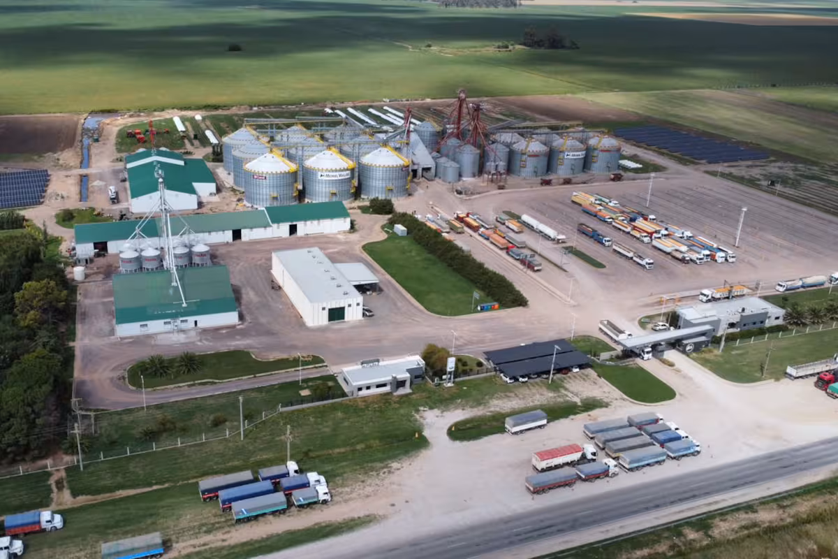 Produce en 20.000 hectáreas: una empresa distinguida como una de las mejores para trabajar invirtió US$3 millones en una planta de acopio