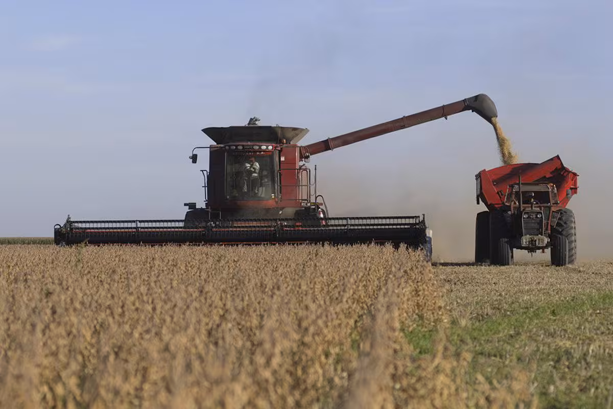 “Atraso récord”: finalizó la cosecha de soja y las ventas de los productores tienen un bajo ritmo