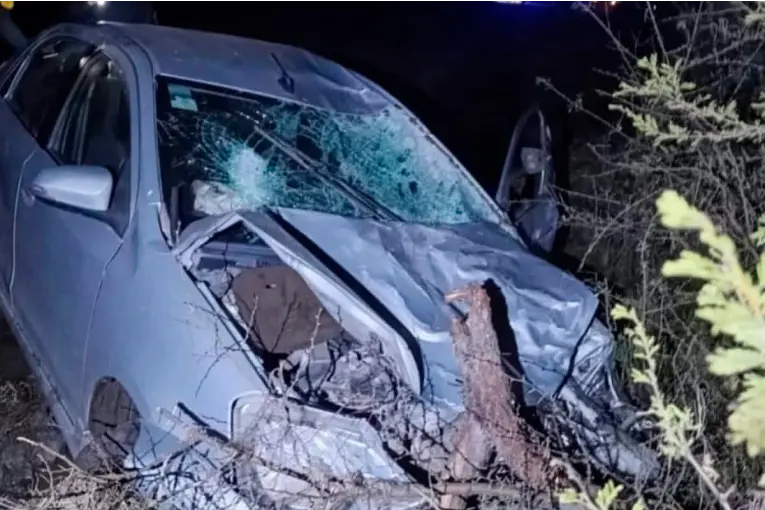 Chocó contra un vacuno en Ruta 2, perdió el control del auto y fue hospitalizado