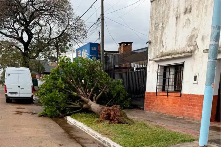 Una mujer murió aplastada por un árbol que cayó sobre su vivienda durante el fuerte temporal en Concordia