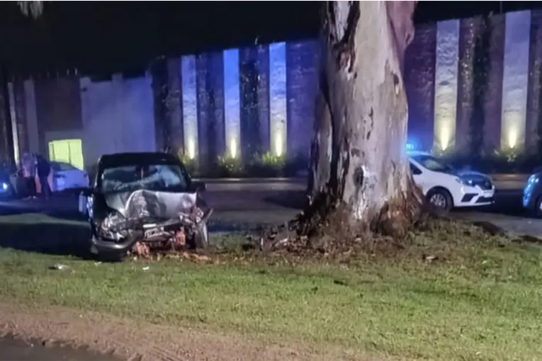 Un joven perdió el control y chocó contra un árbol sobre la Ruta 20