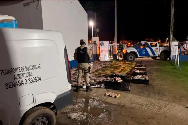 Secuestran 1.300 kilos de pescado transportados en presunta infracción durante un operativo de Prefectura