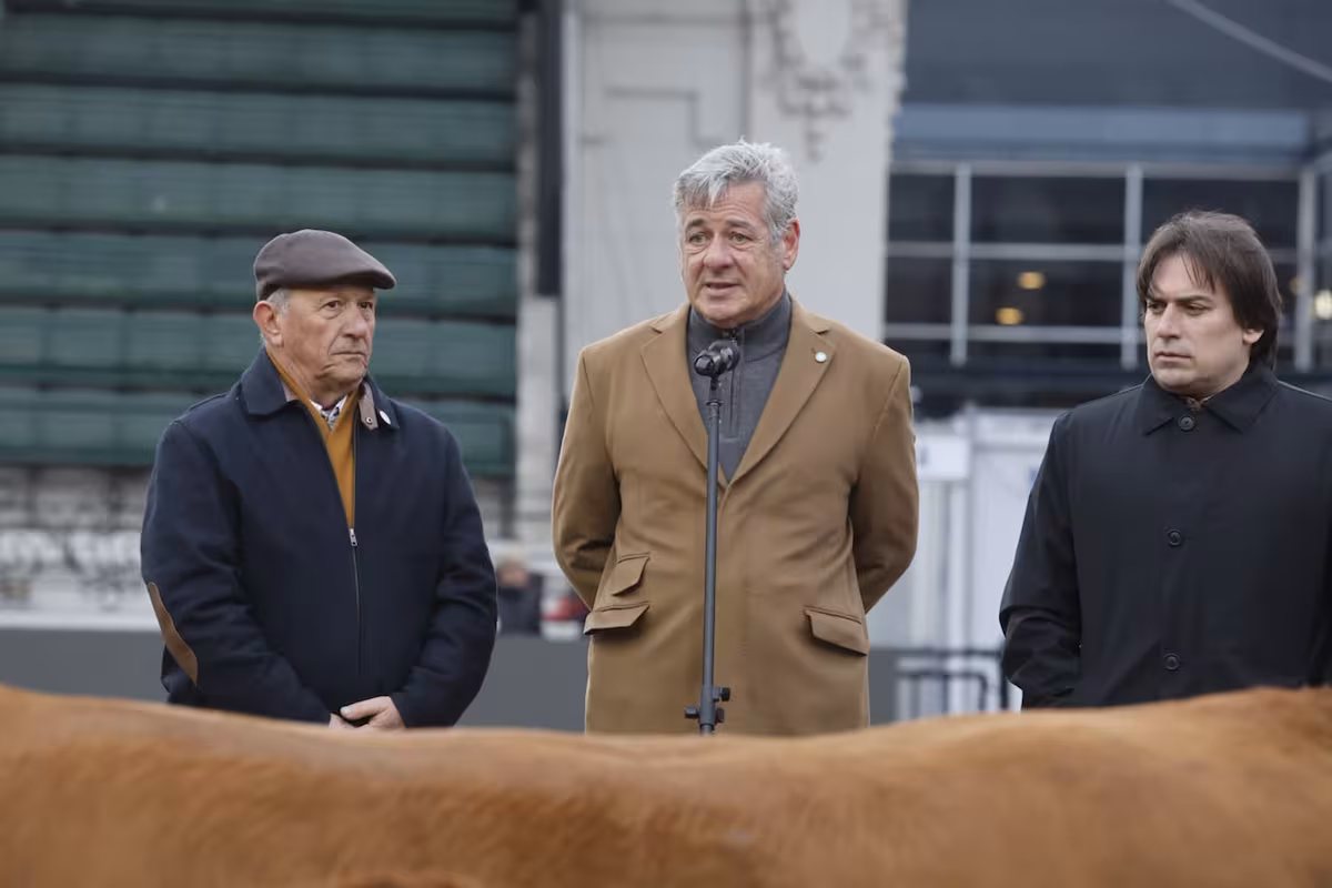 Retenciones, infraestructura y crédito: el pedido que Nicolás Pino le hará a Javier Milei en la inauguración de la Rural