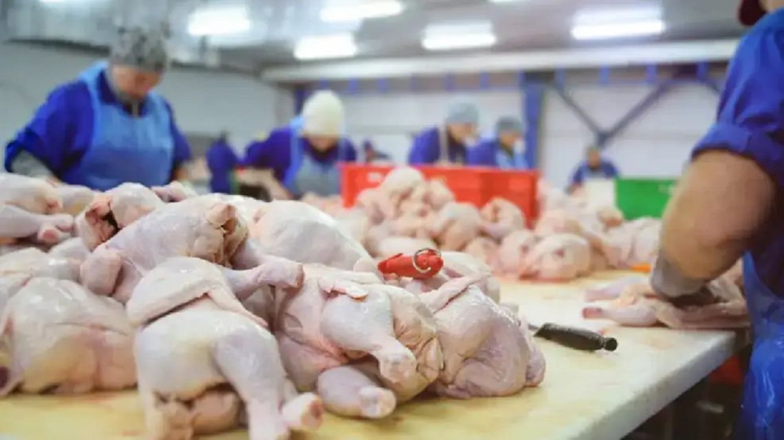 El consumo de pollo supera a la carne vacuna y marca un cambio histórico en Argentina