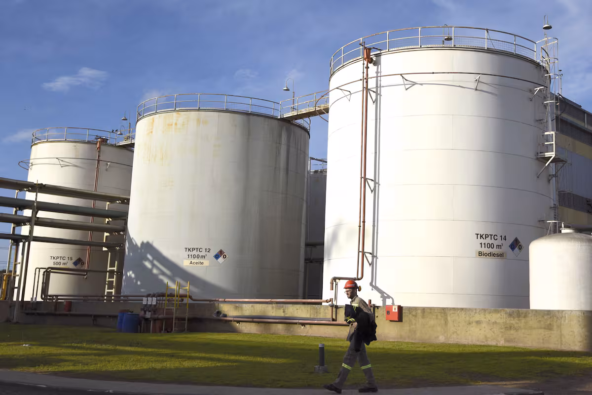 Hay plantas paradas: una industria que demandó millonarias inversiones no puede  aprovechar un negocio que es estratégico en el mundo