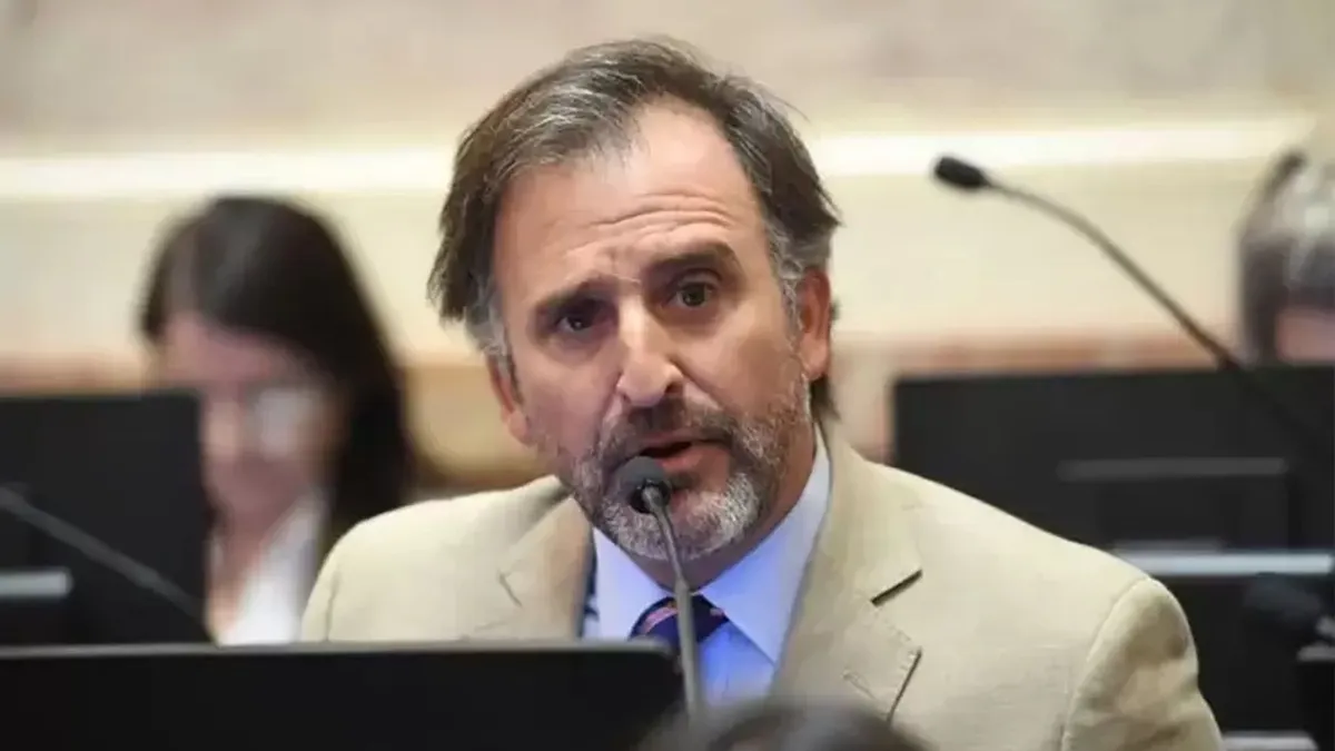 Joaquín Benegas Lynch admitió ser titular de Glocal Terra pero negó conflicto de interés con la ley de Tierras