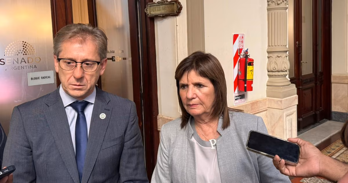 Senado: qué propone el régimen de incentivos a inversiones que la UCR le pide al Gobierno