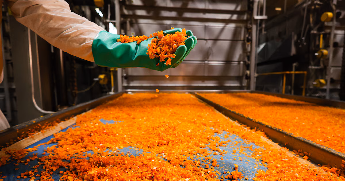 Una multinacional cerró una planta de producción en Mendoza y despidió a todos sus empleados