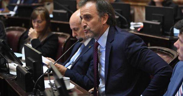 RESPUESTA Joaquín Benegas Lynch se defendió del pedido de impugnación por conflicto de intereses: "Es parte del barro político"