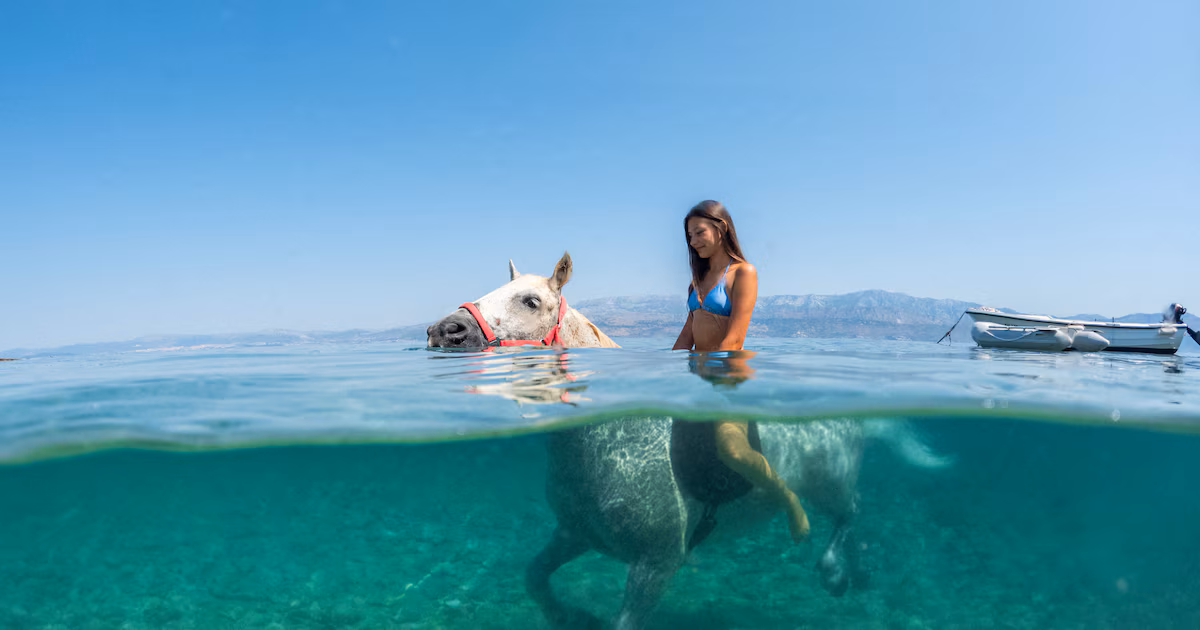 Ola de calor histórica en Europa: así refrescan a los caballos para combatir temperaturas mayores a 40°CEl clima extremo genera sequía y golpea cosechas, además de comprometer la salud, la energía nuclear y el transporte fluvial desde Austria hasta Hungría