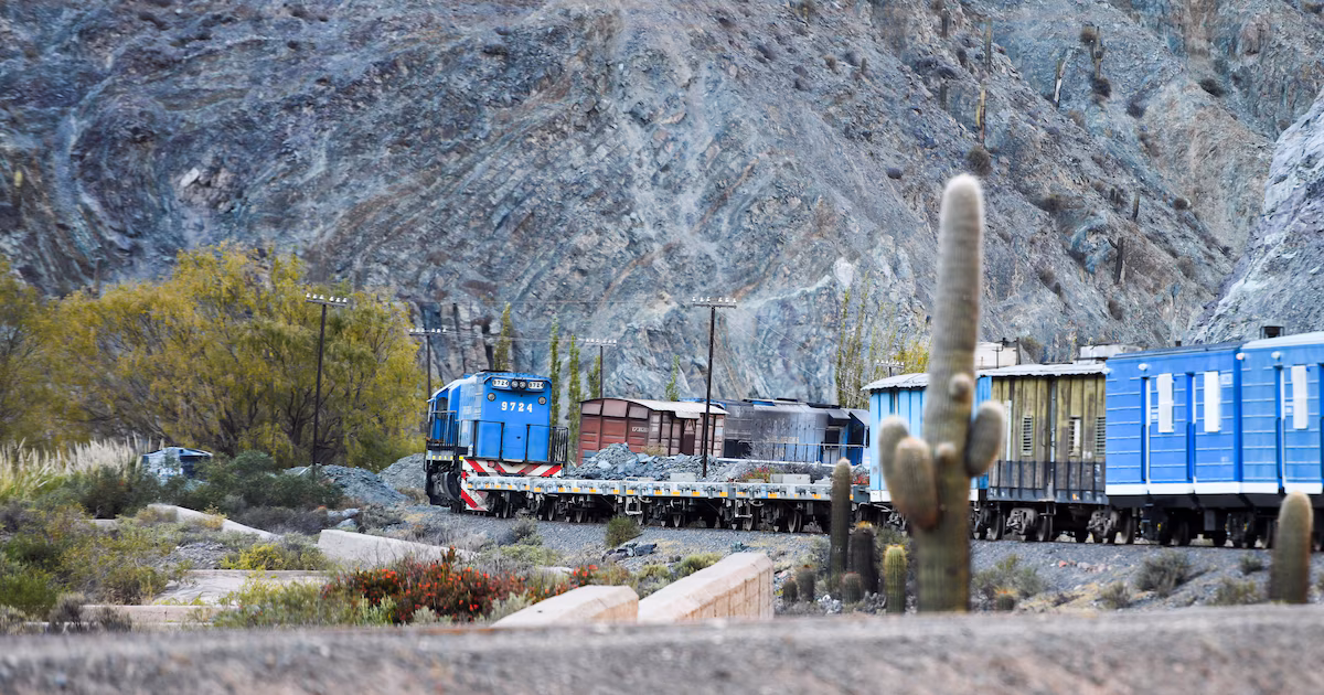 Privatización del Belgrano Cargas: el Gobierno creó un fondo para financiar obras y estudia sumar el RIGI a la licitación