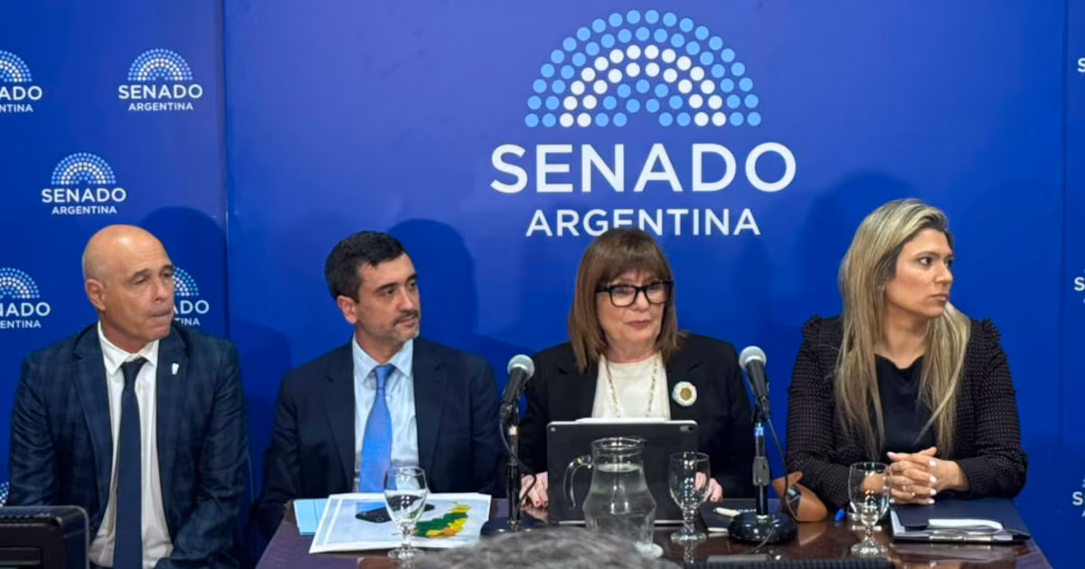 Bullrich dijo que acordó con aliados un límite de 25% para la venta de tierras, pero aún hay dudas con los votos